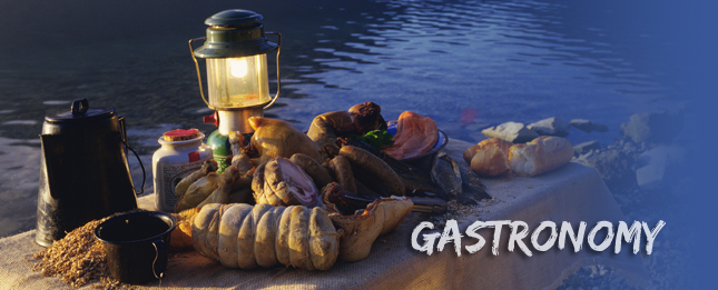 Gastronomy