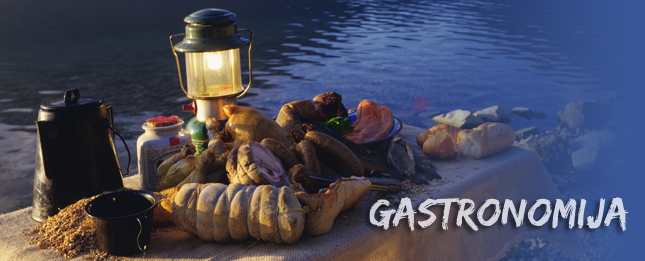 Gastronomija