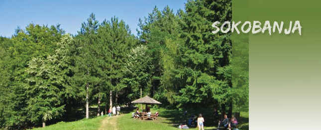Sokobanja, uživanje i lečenje u jednom