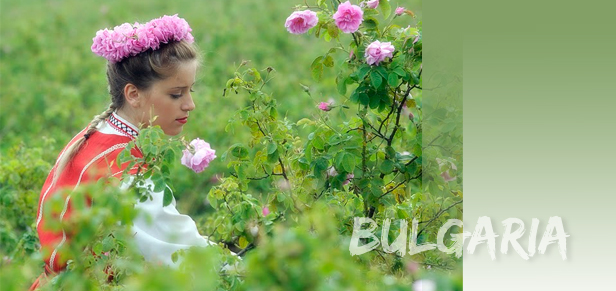 bugarska bugarska Bugarska, dolina ruža