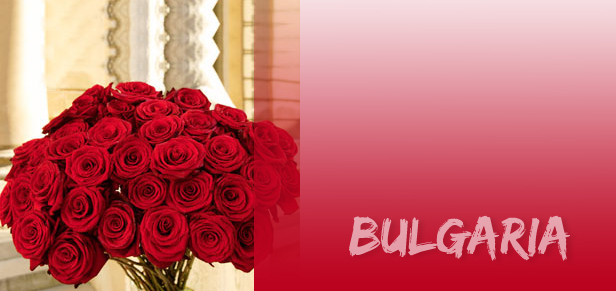 bulgaria bulgaria Bugarska, dolina ruža