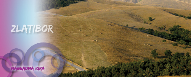 Zlatibor