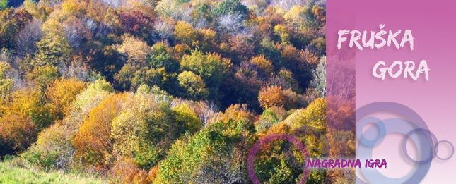 Fruška gora